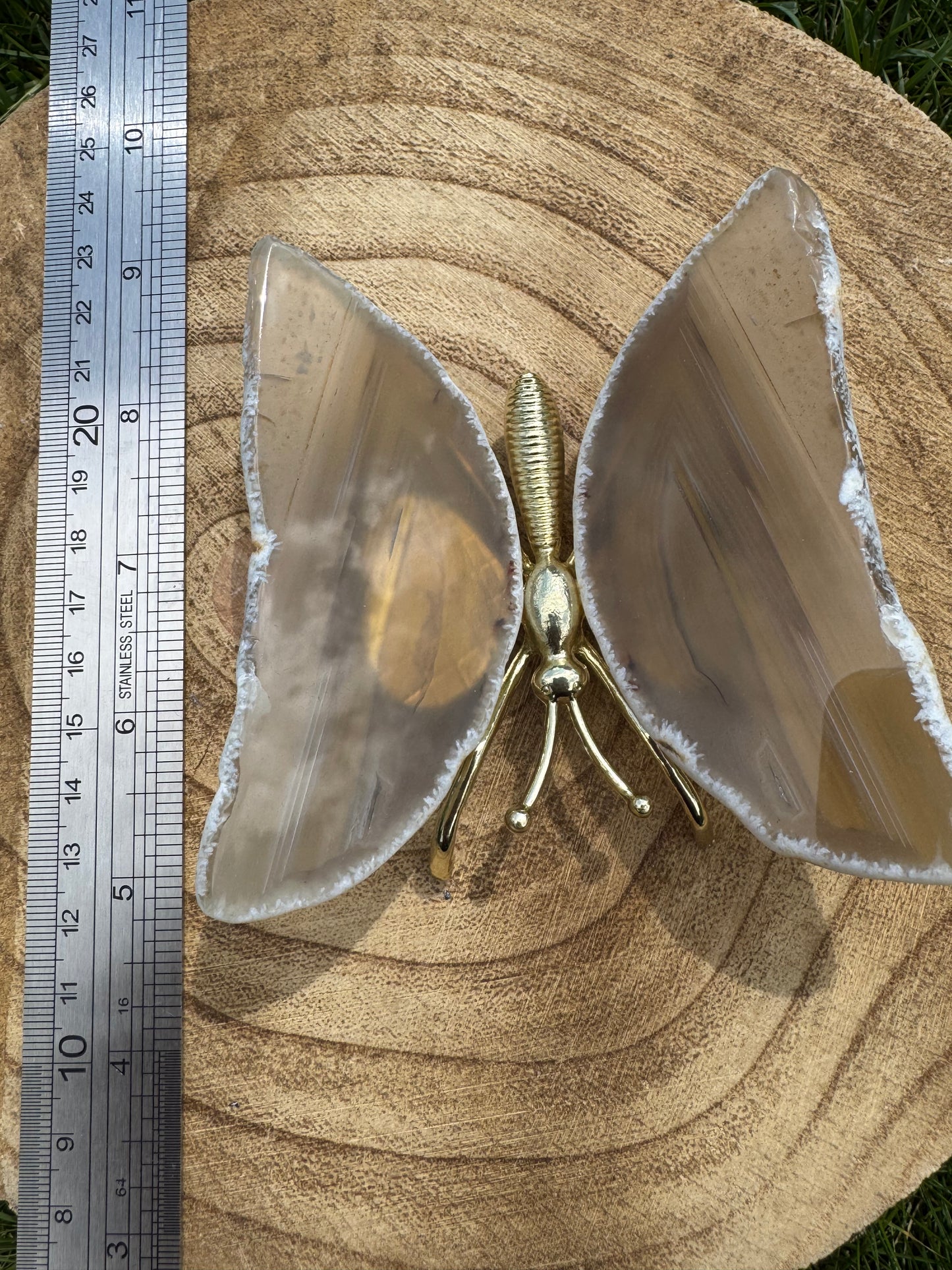 Agate Butterfly natural