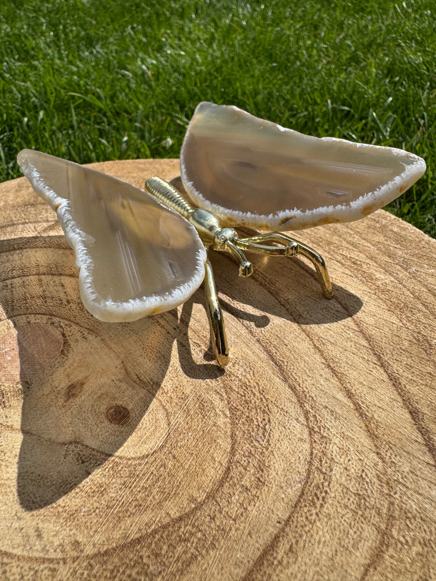 Agate Butterfly natural