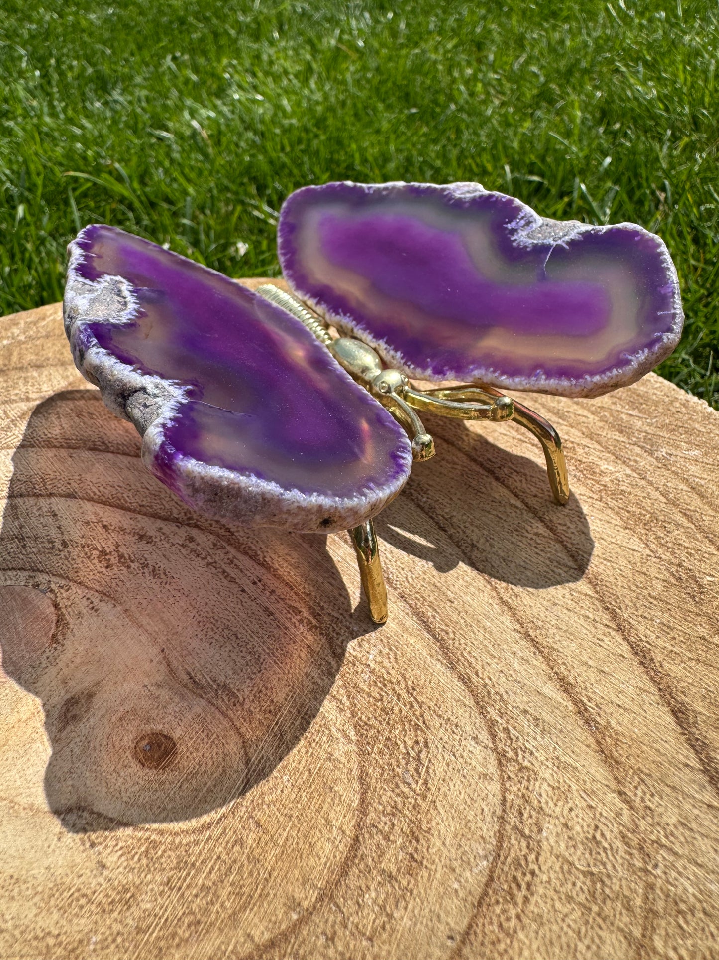 Agate Butterfly Purple