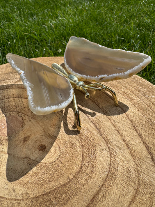 Agate Butterfly natural