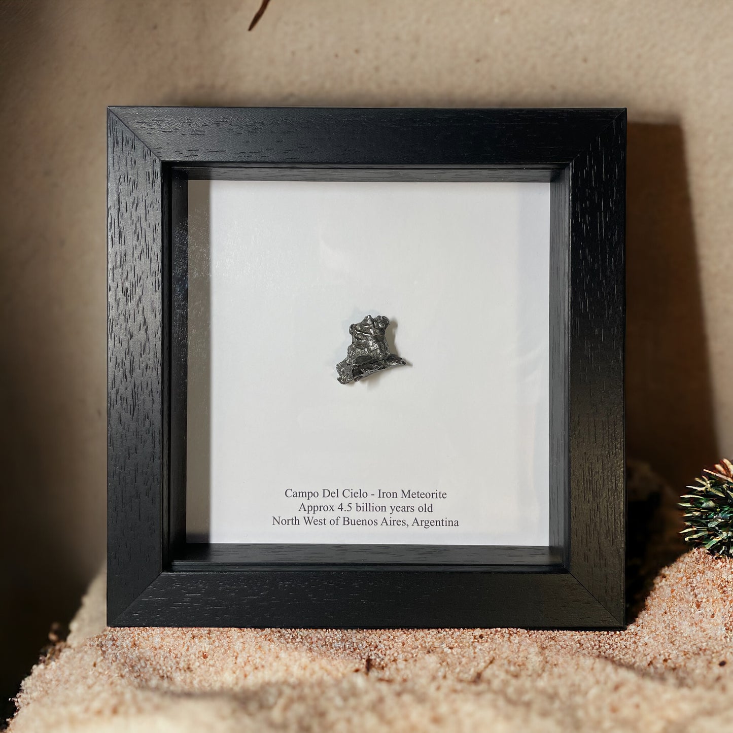 Campo del Cielo Meteorite in Box Frame