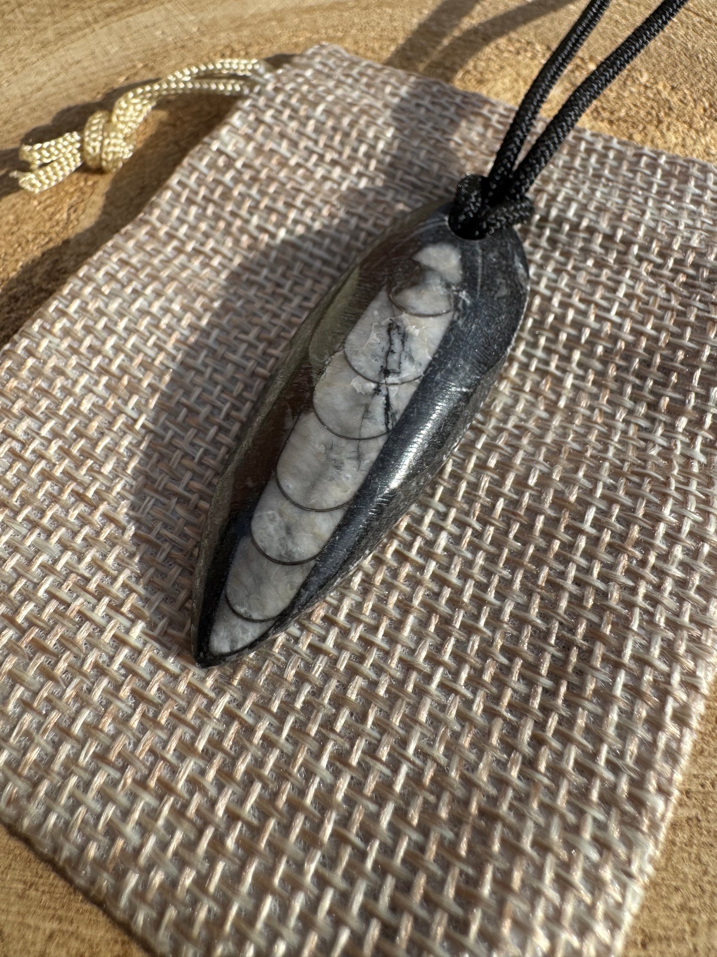 Orthoceras Fossil Necklace