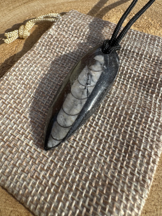 Orthoceras Fossil Necklace