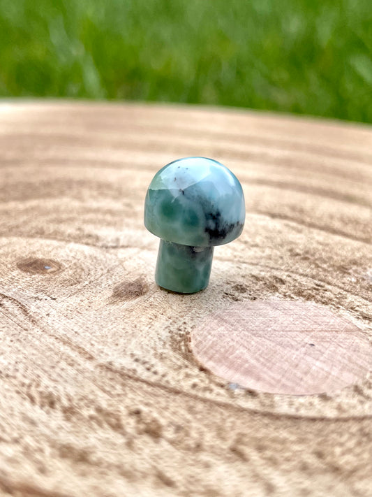 Larimar Mushroom