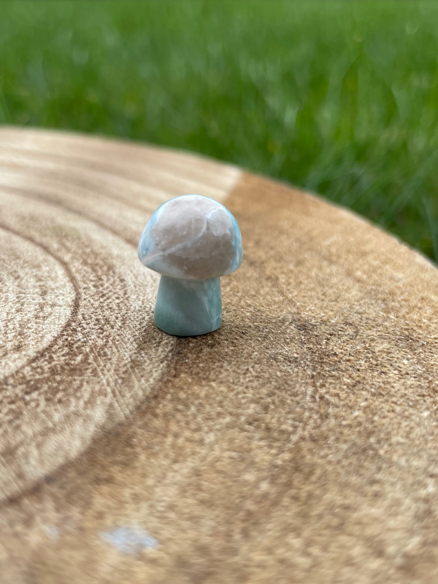 Larimar Mushroom