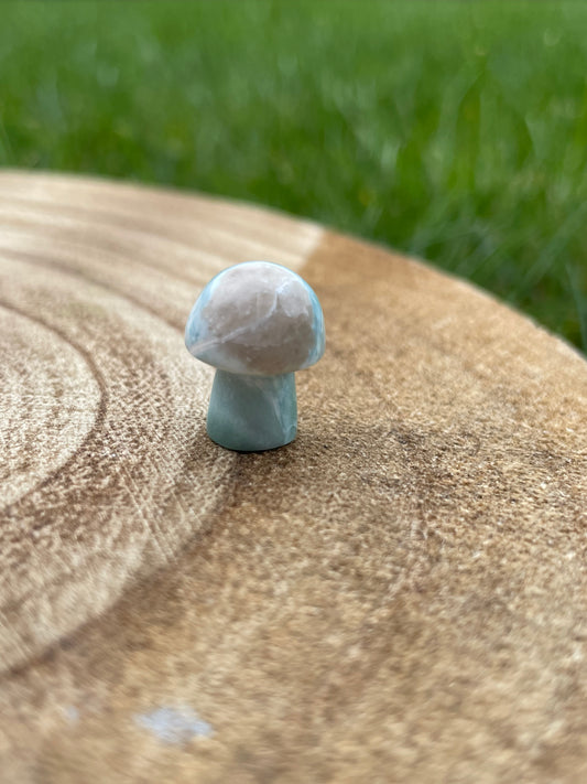 Larimar Mushroom