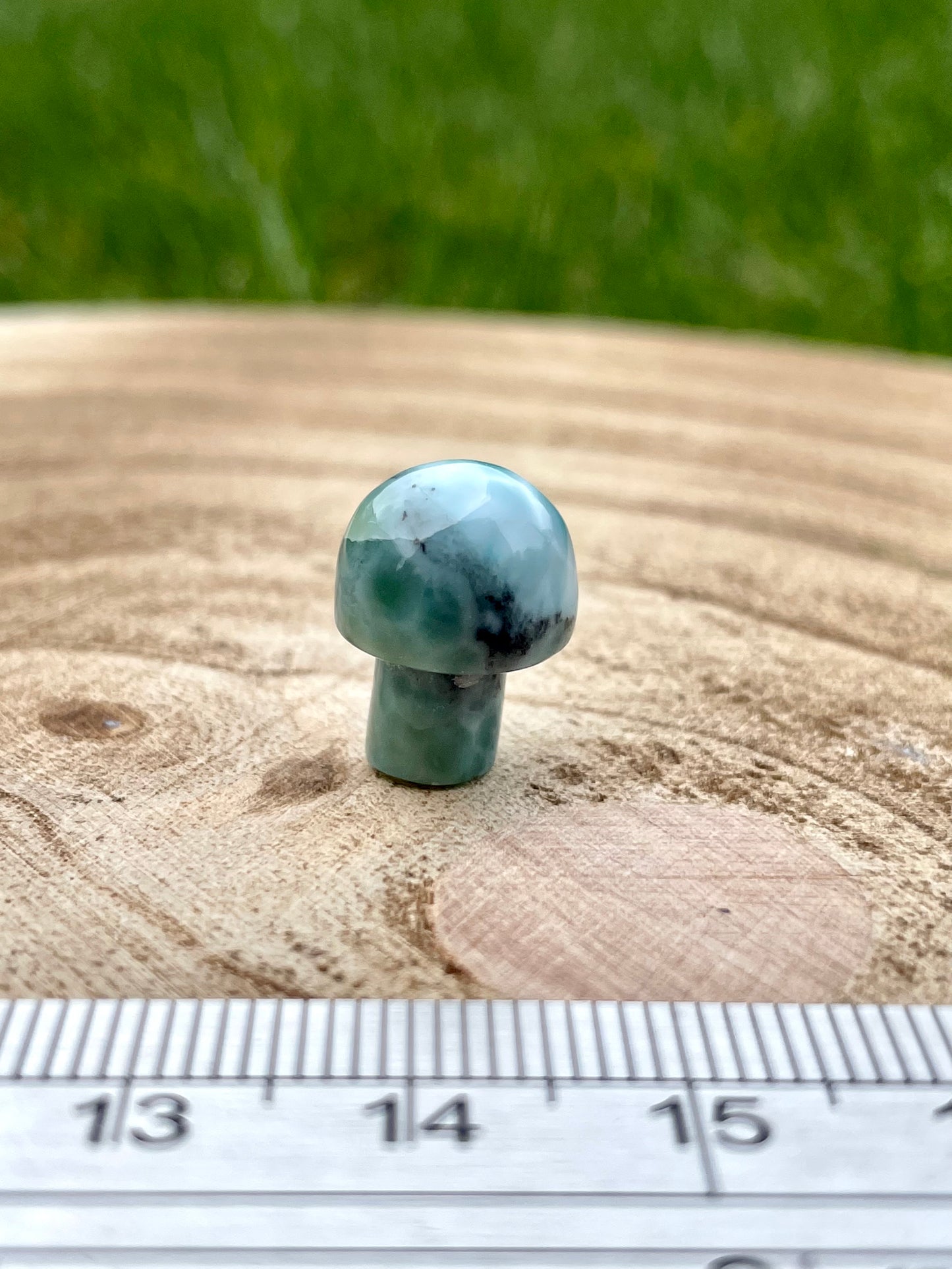 Larimar Mushroom