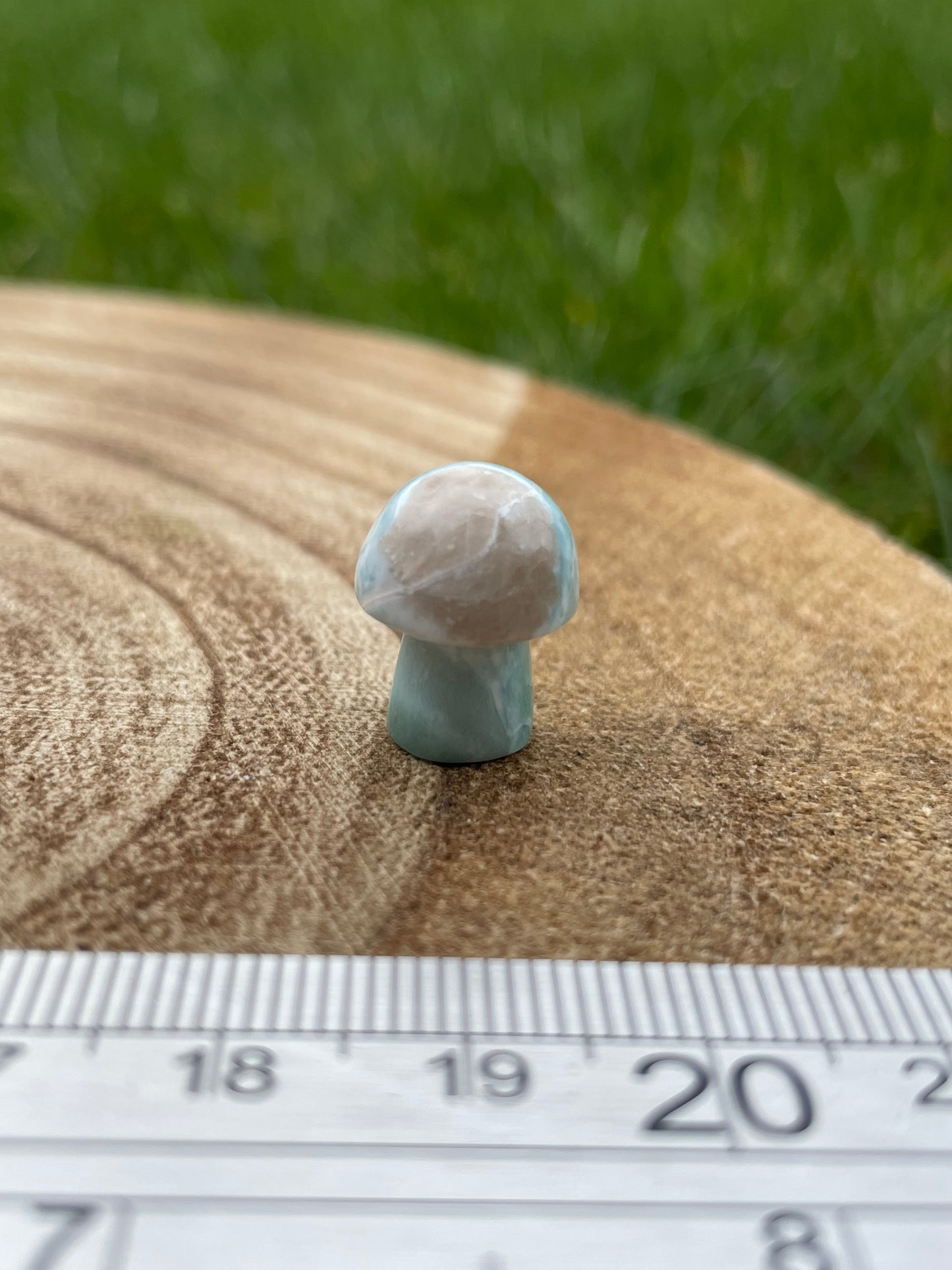 Larimar Mushroom